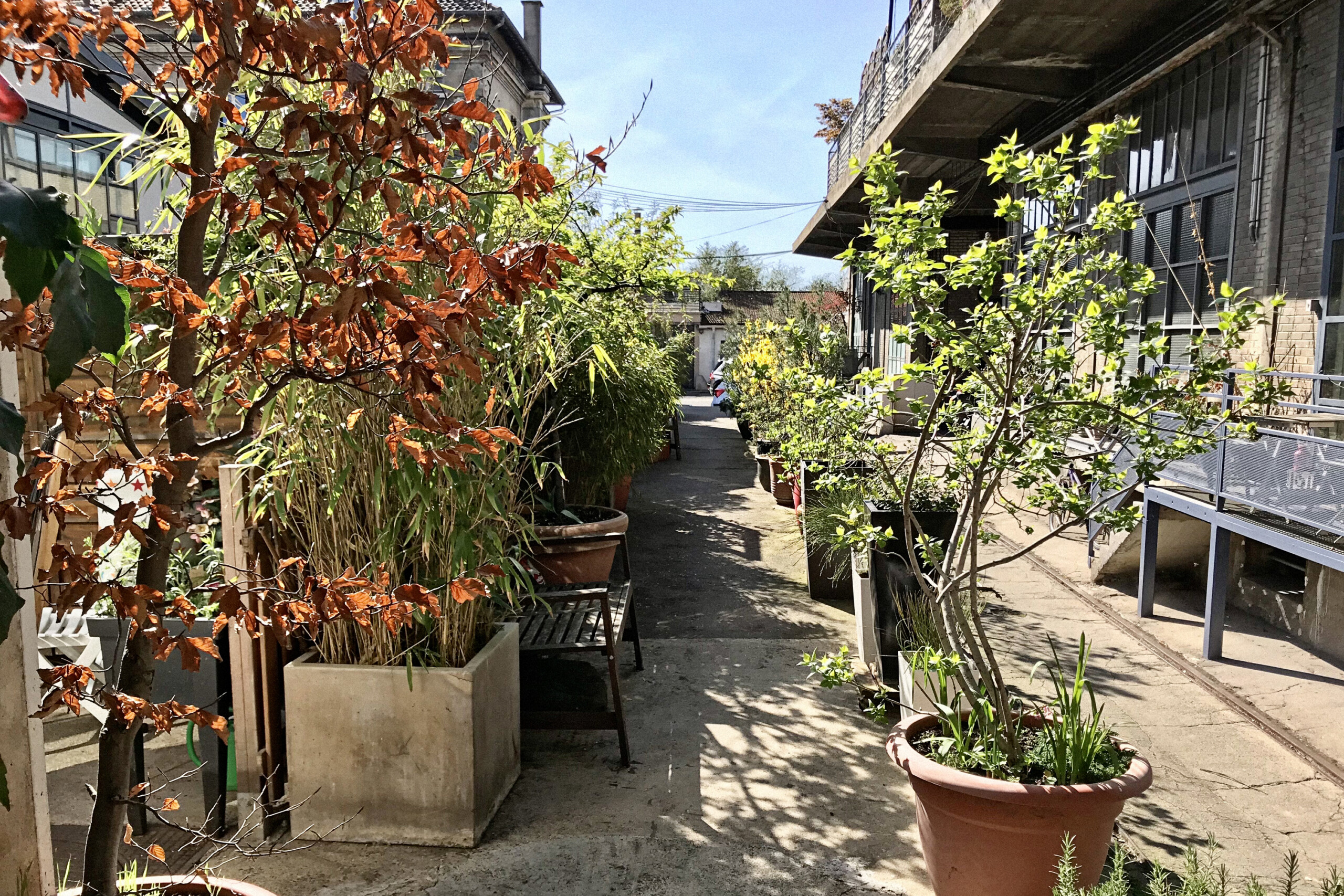 Coursive extérieure végétalisée des anciens entrepôts SNCF avec jardinières béton, arbustes saisonniers et structure industrielle apparente pour tournages extérieurs lumière naturelle